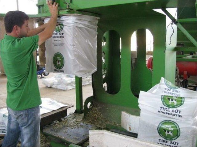 Tire Süt, Mısır Üreticisine De Sahip Çıktı 1