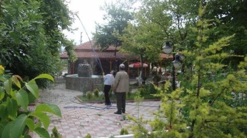 Derek&ouml;y Belediyesi'nden Ağa&ccedil;lara İla&ccedil;lama Ve Bakım
