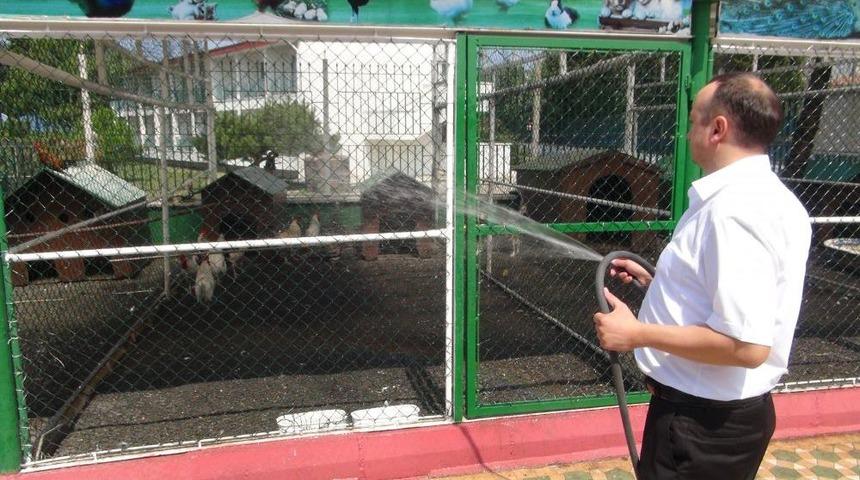 Sıcaktan Bunalan Hayvanlar Hortumla Serinletiliyor