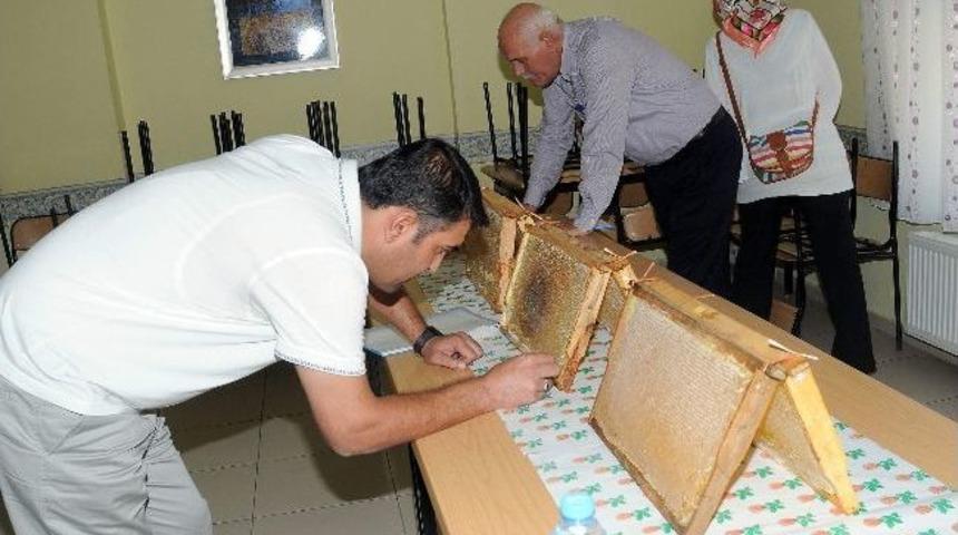 &Ccedil;elikhan&rsquo;da 16. Bal Festivali Başladı