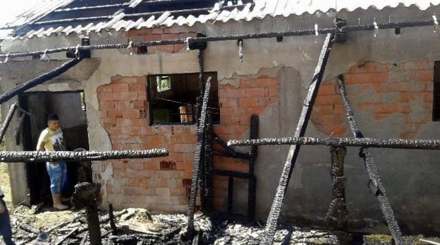 Orhaneli&rsquo;nde Dam Yangınında 2 İnek Telef Oldu