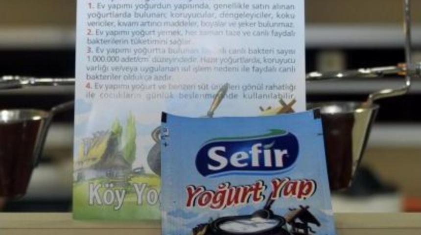 Toroslar'ın Bitkilerinden Akademik K&ouml;y Yoğurdu