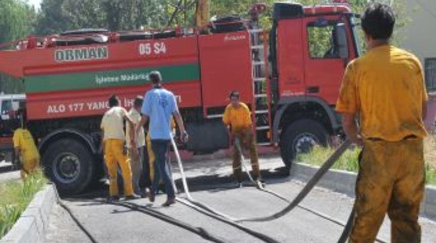 &Ccedil;orum'da 10 Hektar &Ccedil;amlık Alan Yandı