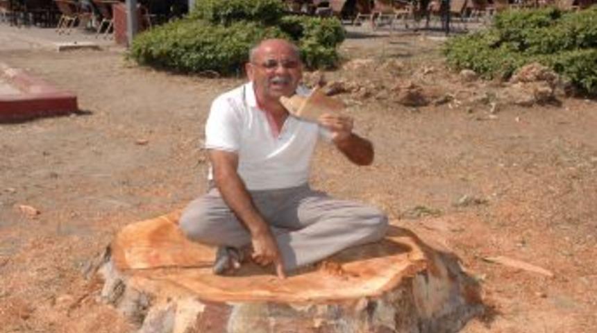 Karşıyaka Sahilinde Iki Ağa&ccedil; Gece Belirsiz Kişilerce Kesildi