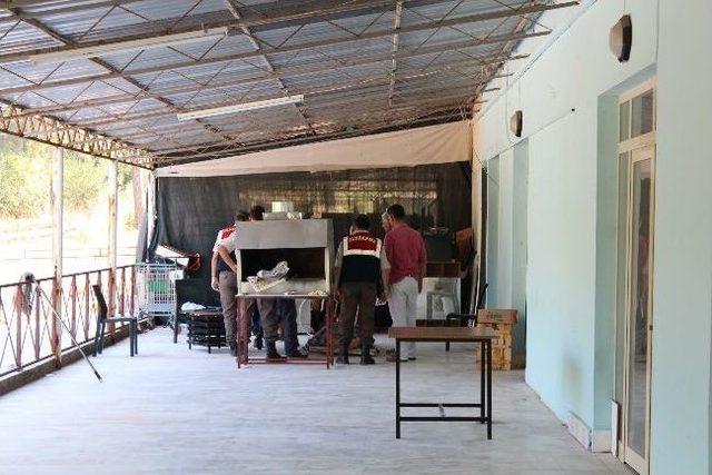 Mesleği Sonu Oldu 2