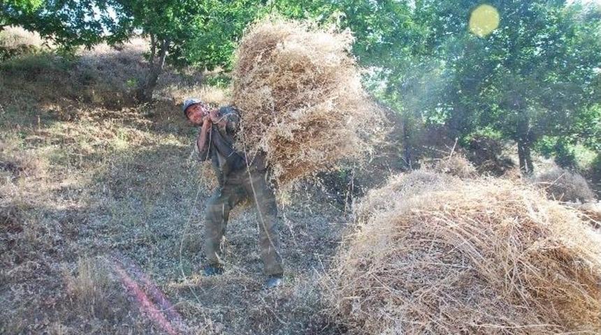 Ge&ccedil;en Yıl Saman Fiyatları El Yakınca Bu Yıl Besici Tedbirini Erken Aldı