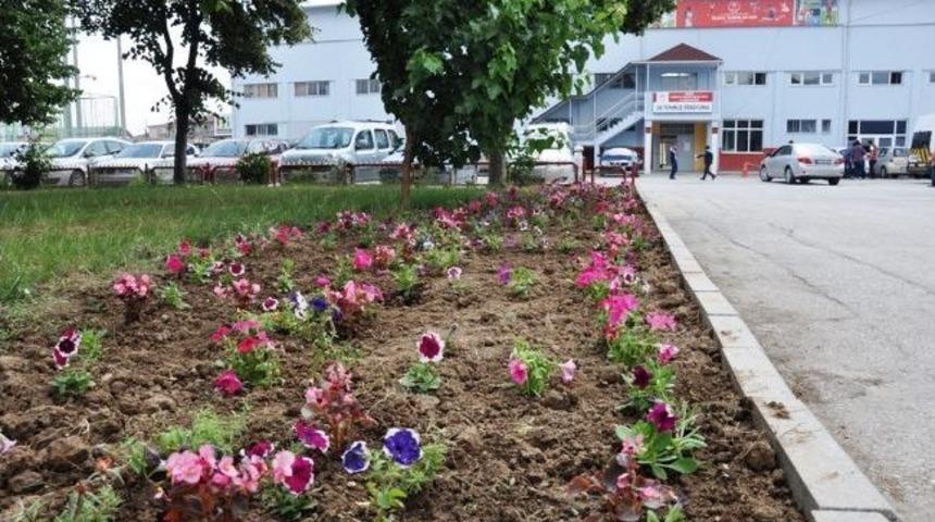 Gen&ccedil;lik Sporun Bah&ccedil;esi &Ccedil;icek A&ccedil;tı