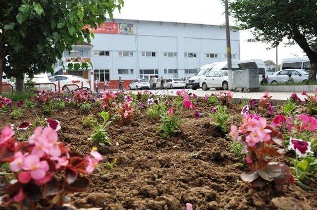 Gençlik Sporun Bahçesi Çicek Açtı 1