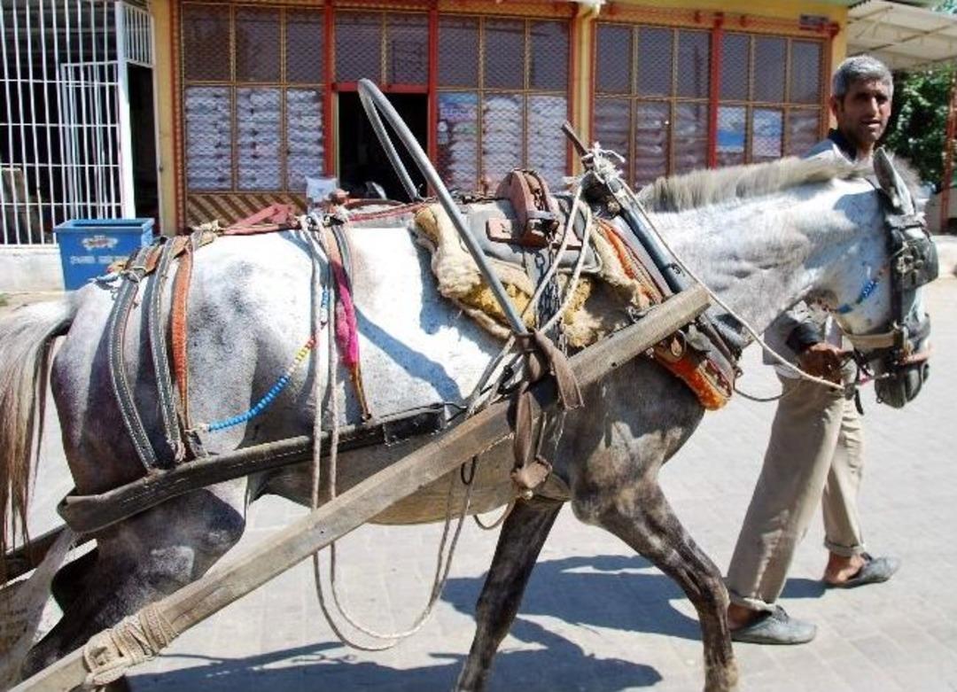 Ege&rsquo;nin En B&uuml;y&uuml;k Halinde Ekmek M&uuml;cadelesi