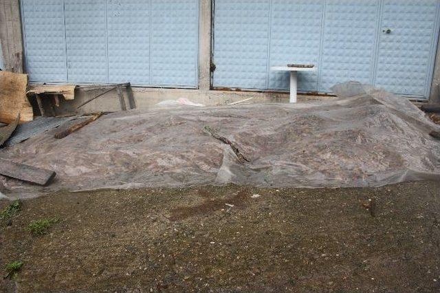 "fındığı Naylon &Ccedil;uvallarda Bırakmayın" Uyarısı 2