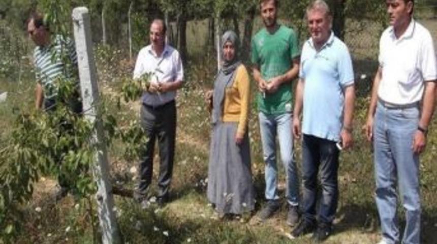 İl Gıda Tarım Ve Hayvancılık İl M&uuml;d&uuml;r&uuml; &Ccedil;elik&rsquo;ten Nebioğlu Beldesine Ziyaret