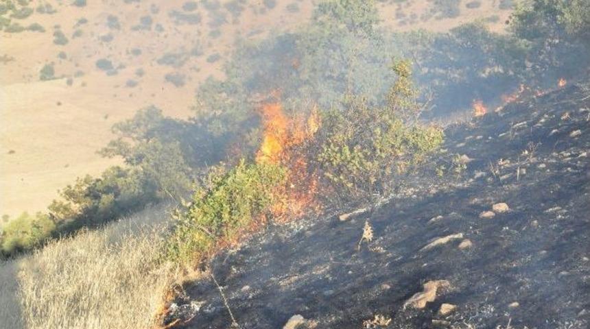 Yerk&ouml;y&rsquo;de &Ccedil;ıkan Yangından 30 Hektar Meşelik Alan Zarar G&ouml;rd&uuml;
