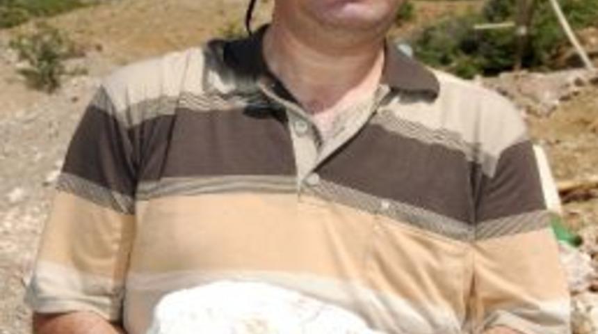 (&ouml;zel Haber) L&uuml;letaşı Muhafaza Ederken Ve Se&ccedil;erken Nelere Dikkat Edilmeli