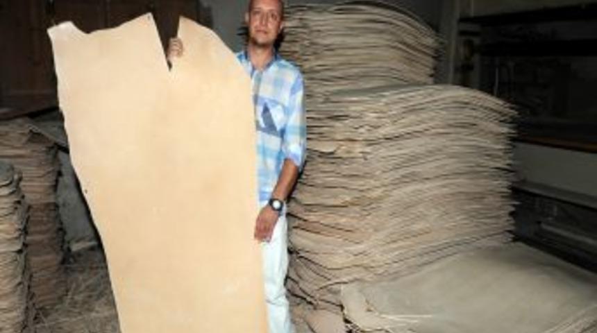 Sığır Derisinden Yapılan K&ouml;selenin Yerini Plastik Malzeme Alıyor