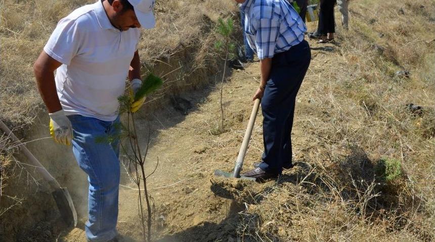 B&uuml;y&uuml;k Erbaa Buluşmasında Fidan Dikildi
