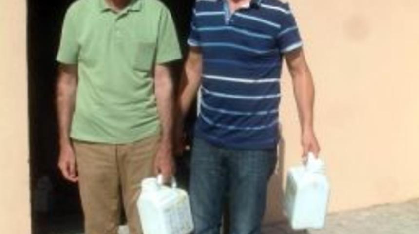 Burhaniye&rsquo;de Zeytincilere &Uuml;cretsiz İla&ccedil;