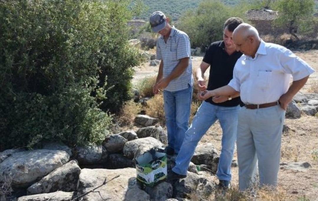 Dikili'de Yeni Su Kaynağına İlk Kep&ccedil;e Vuruldu