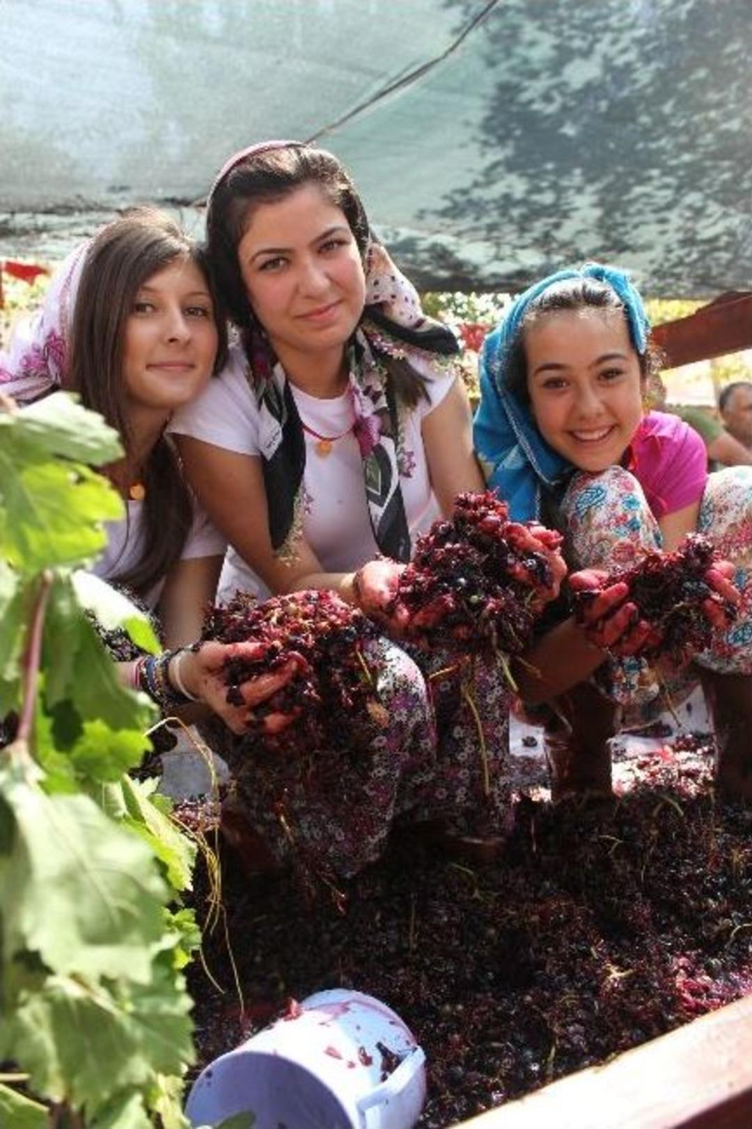 Urla Bağbozumu Şenliklerinde &Uuml;z&uuml;mler Yarıştı