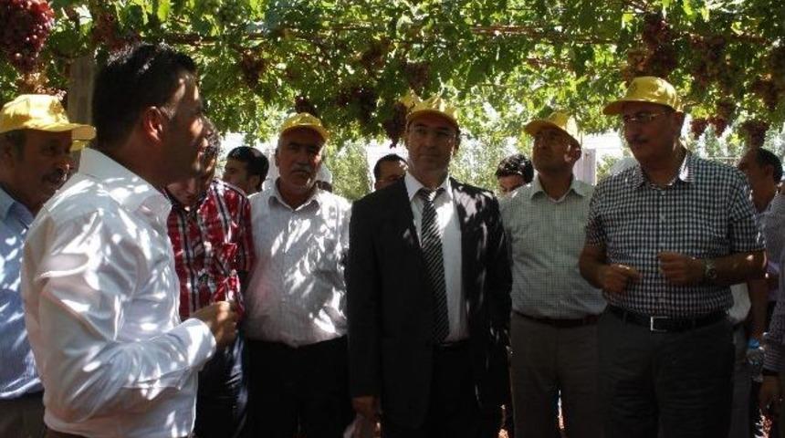 Gaziantep&rsquo;te, &lsquo;bağ &Uuml;z&uuml;m&uuml; &Ccedil;ardakta Proje&rsquo; Tanıtımı Yapıldı