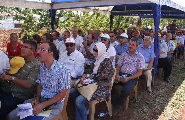 Gaziantep’te, ‘bağ Üzümü Çardakta Proje’ Tanıtımı Yapıldı