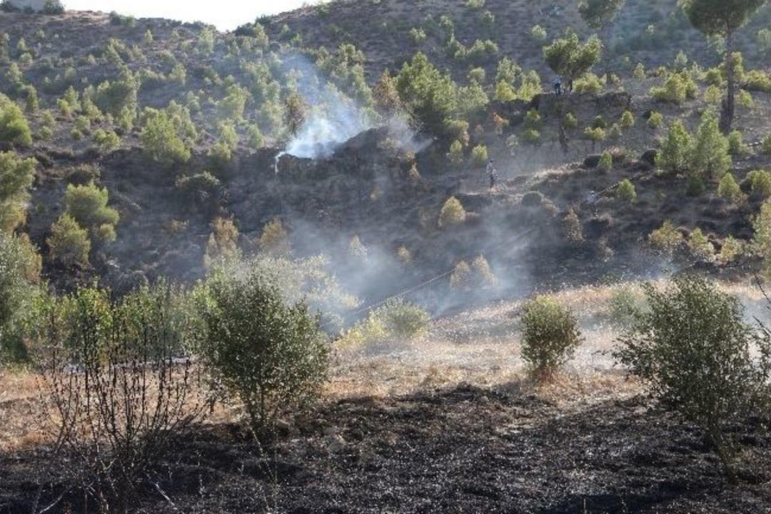 Mut'ta 25 D&ouml;n&uuml;m Bah&ccedil;e Ve Ormanlık Alan Yandı