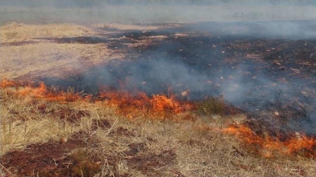 Fethiye'de Cam Şişe 50 D&ouml;n&uuml;m Ormanı Yaktı