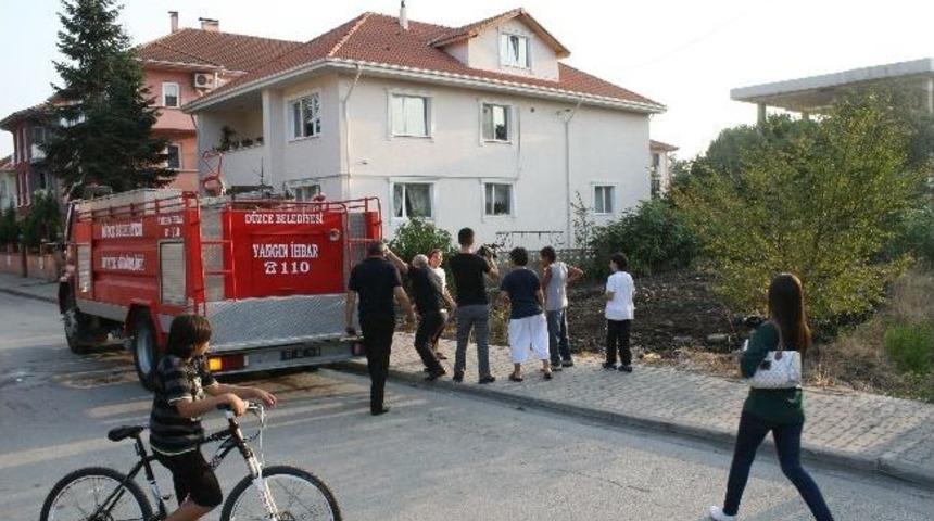 D&uuml;zce'de Ot Yangını