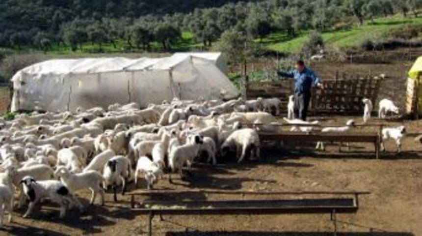 Prof. Dr. Orhan Karaca: &ldquo;aydınlı &Uuml;retici Protein T&uuml;keticisini Bekliyor&rdquo;