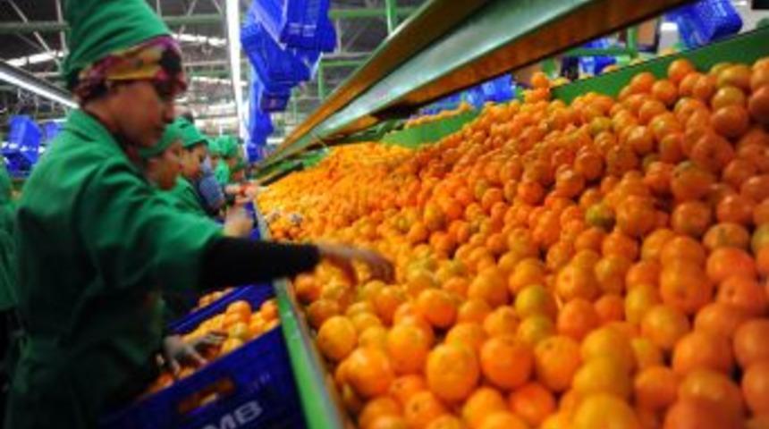 Mandalina &Uuml;reticileri Birliği Kanada&rsquo;da Tanıtıldı