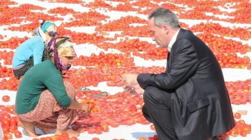 Şıktaşlı, Mevsimlik Domates Kurutma İş&ccedil;ilerinin Sorunlarını Dinledi