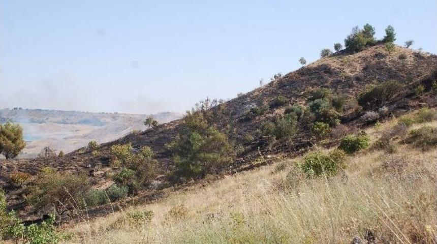 40 D&ouml;n&uuml;m Ağa&ccedil;lık Alan K&uuml;l Oldu: 1 Yaralı