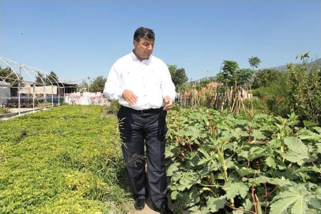 Bornova, Tarımsal Değerlerine Sahip &Ccedil;ıkıyor
