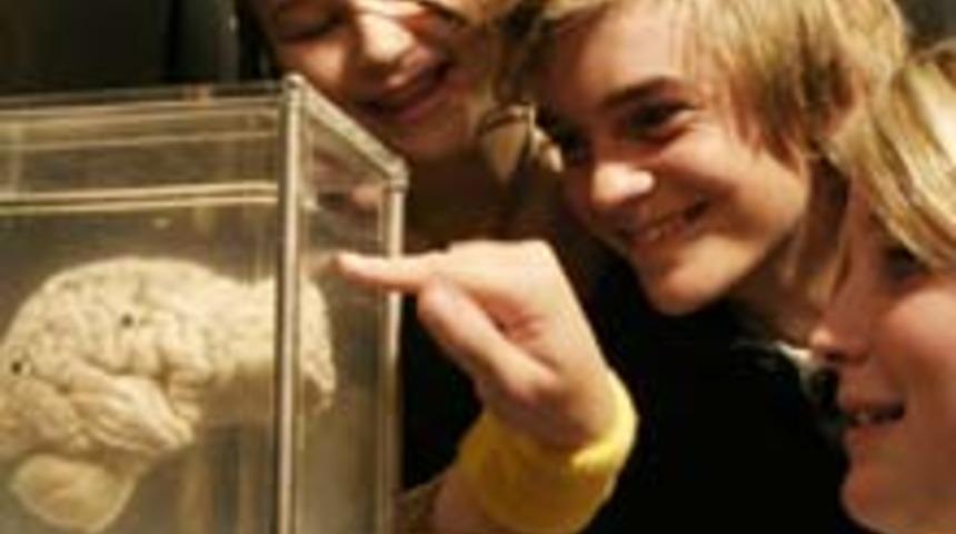 'Beyin: Gizemli Yolculuk' Şimdi T&uuml;rkiye&rsquo;de