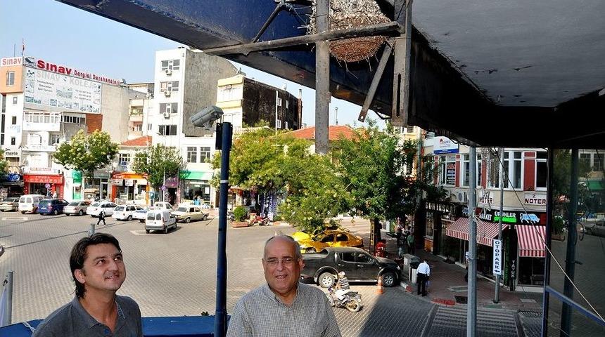 Kumrular Belediyenin &Ouml;zel Misafiri Olarak Ağırlanıyor