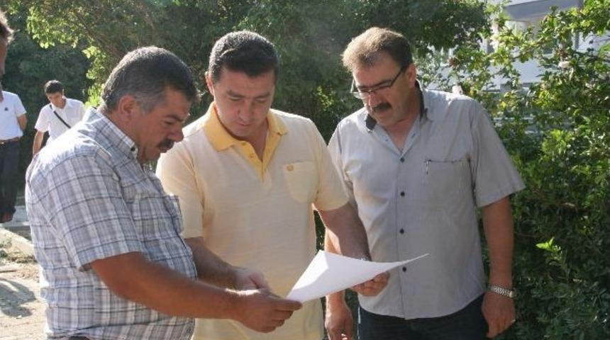 Başkan Vekili Bakıcı Yeşil Alan &Ccedil;alışmalarını Denetledi