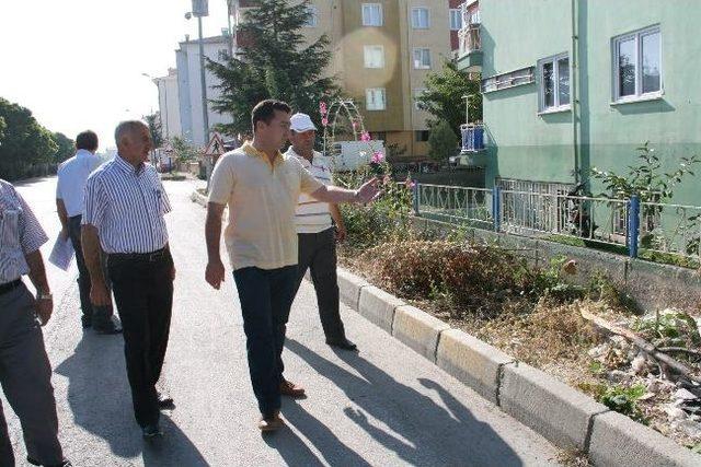 Başkan Vekili Bakıcı Yeşil Alan Çalışmalarını Denetledi