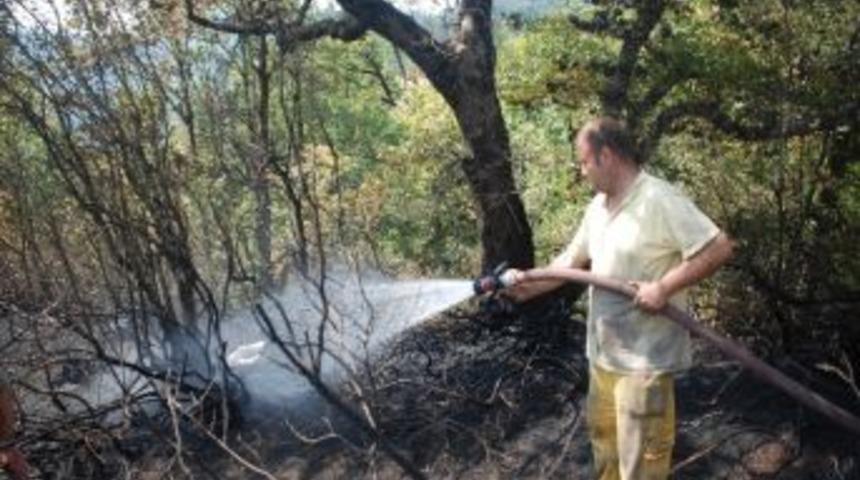 Son 1 Ay İ&ccedil;erisinde 8.53 Hektar Ormanlık Alan K&uuml;l Oldu