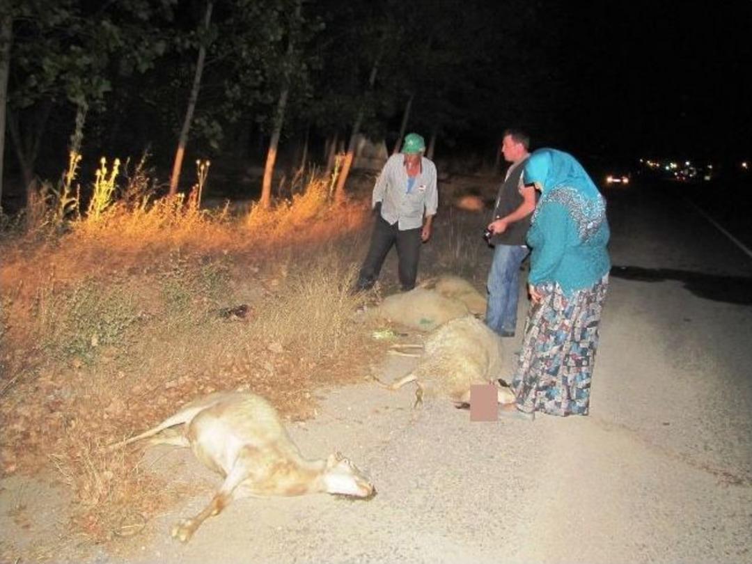 K&uuml;tahya'da Otomobil Koyun S&uuml;r&uuml;s&uuml;ne &Ccedil;arptı