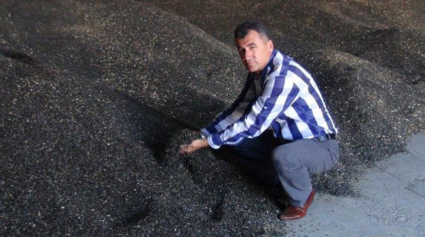 Ay&ccedil;i&ccedil;eği Fiyatı D&uuml;şt&uuml; &Ccedil;ift&ccedil;i Tedirgin