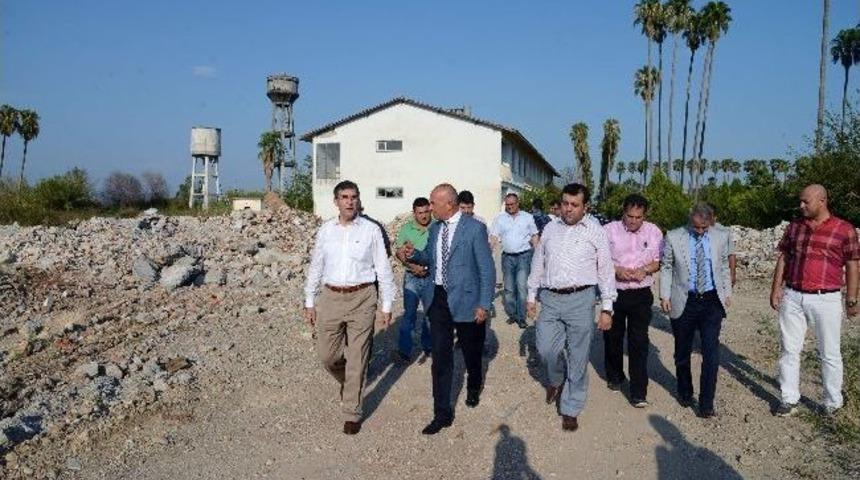 Milletvekili Badak, Expo Alanında İncelemelerde Bulundu