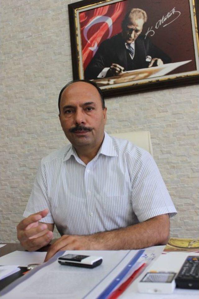 &Ccedil;ukurova&rsquo;da Mısır Hasadı Başladı 1