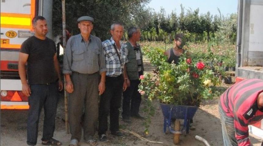 &Ouml;demiş&rsquo;in G&uuml;lleri T&uuml;rkmenistan I S&uuml;sleyecek