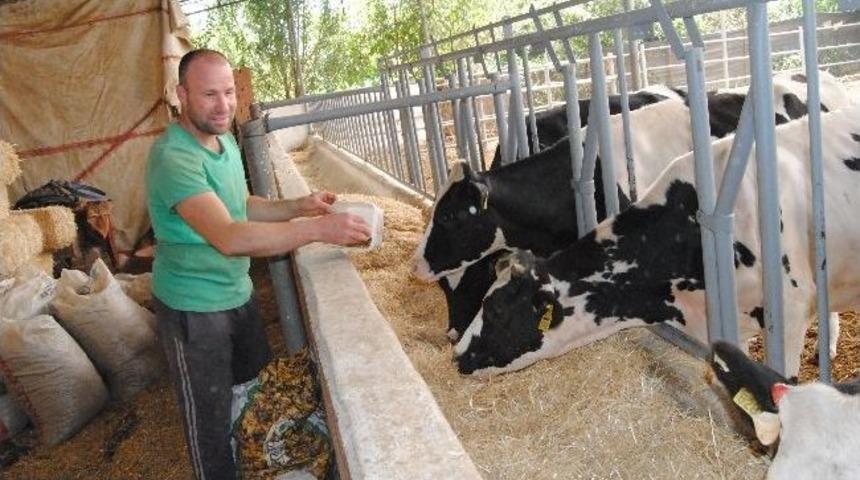 Teknoloji D&uuml;ğ&uuml;n M&uuml;zisyenliğini Etkiledi