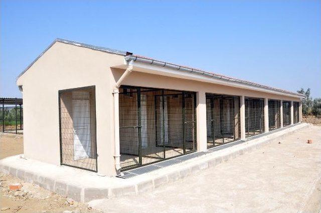 Salihli de Modern Hayvan Barınağı İnşaatı Devam Ediyor 1