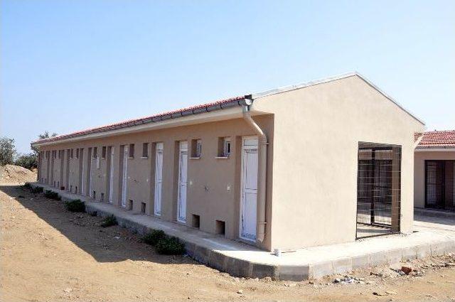 Salihli de Modern Hayvan Barınağı İnşaatı Devam Ediyor 2