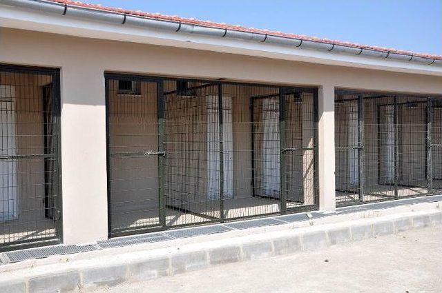 Salihli de Modern Hayvan Barınağı İnşaatı Devam Ediyor 3