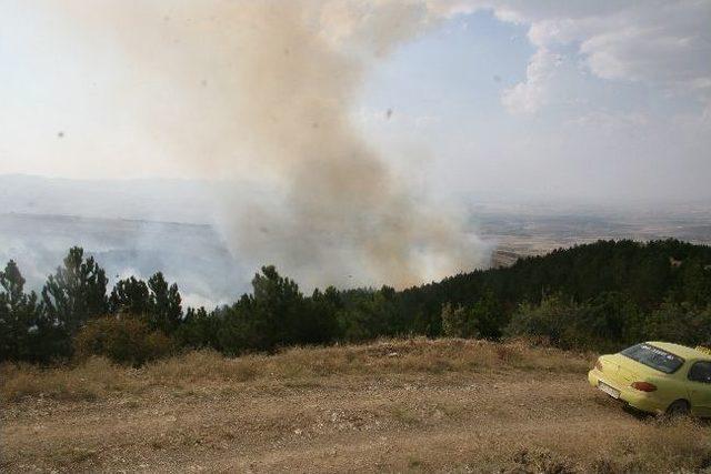 Afyonkarahisar’daki Orman Yangını