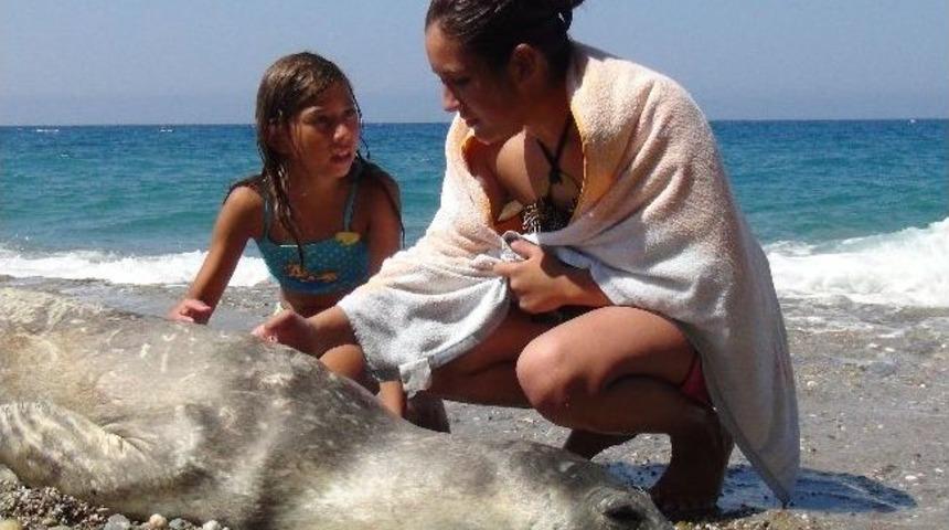 Sahile Vuran &Ouml;l&uuml; Fok &Ccedil;evrecileri &Uuml;zd&uuml;