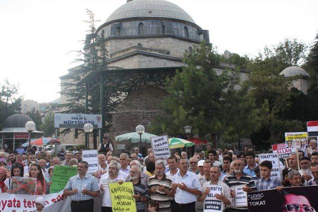 Sivil Toplum Kuruluşları Mısır'daki Katliamı Protesto Etti