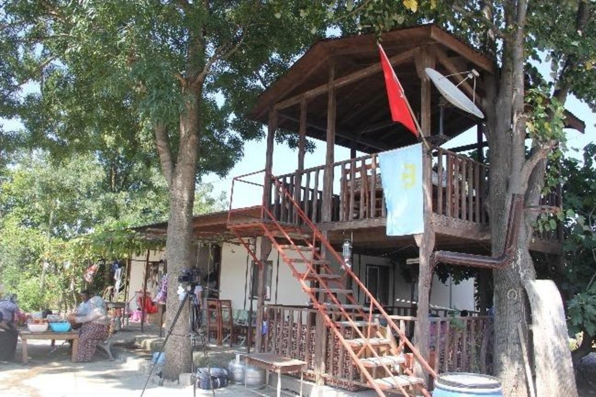 (&ouml;zel Haber) 14 Yıldır Kendi Yaptıkları Ahşap Evde Yaşıyorlar